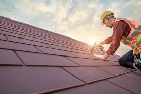 Best Roof Maintenance and Cleaning  in Stanton, MI